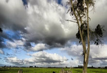 天涯论坛里的言情小说：那些年我们一起追过的爱情