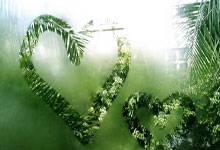 天涯重庆论坛情感