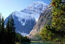 天涯论坛里的白马传说