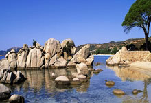 天涯论坛里的鼻咽癌话题：大家聊聊这个健康问题，看看网友们怎么说！